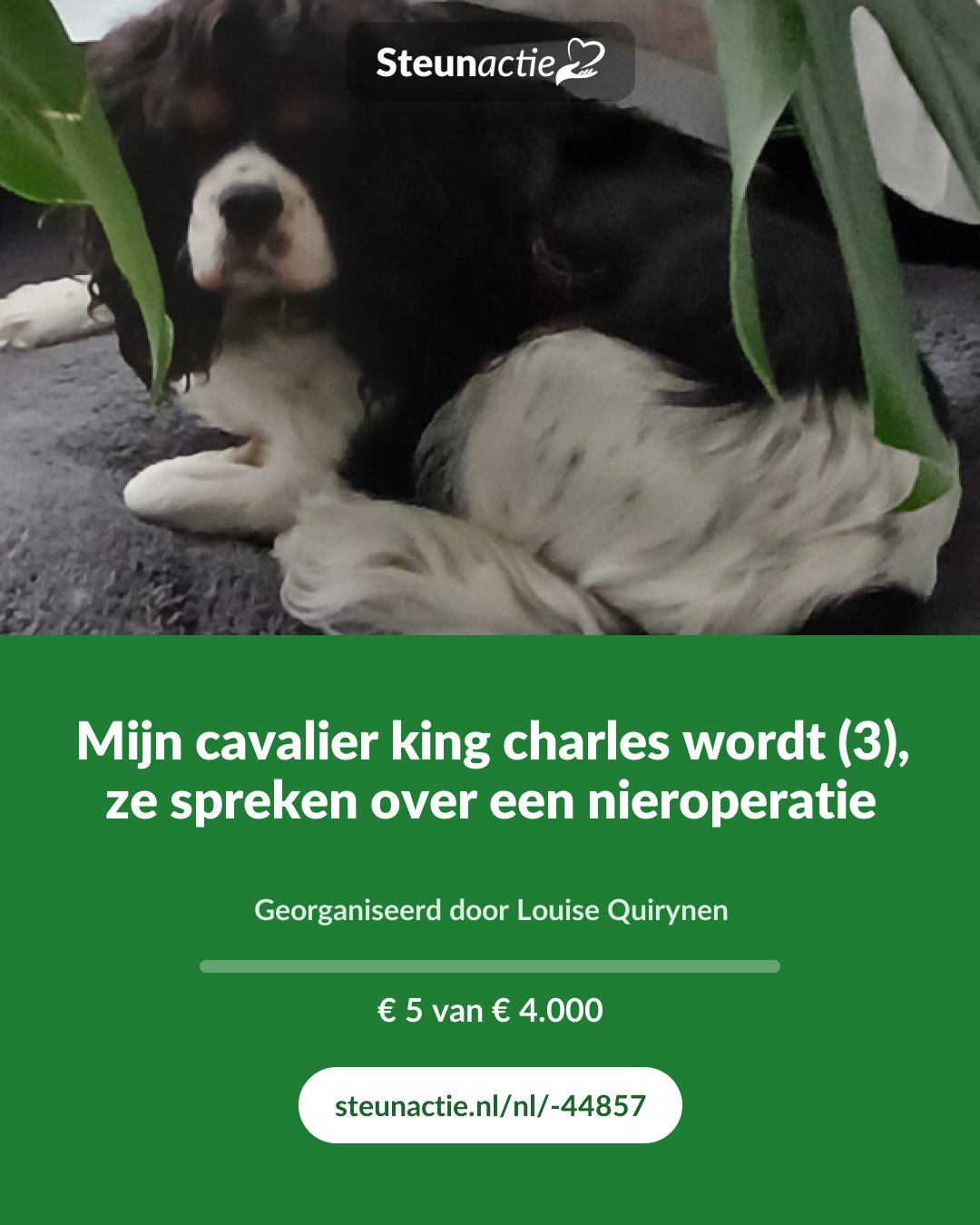 Voorbeeld van de afbeelding