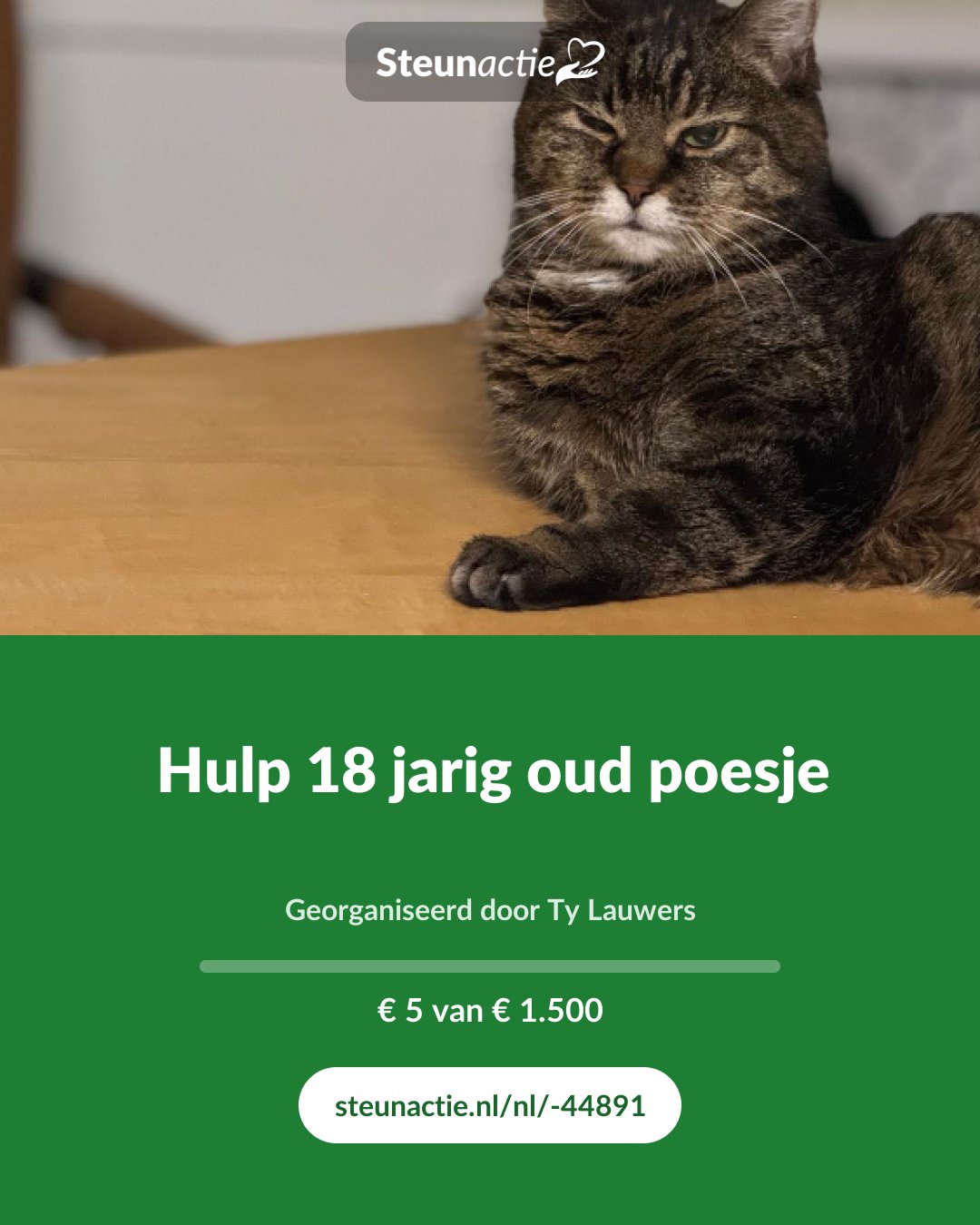 Voorbeeld van de afbeelding