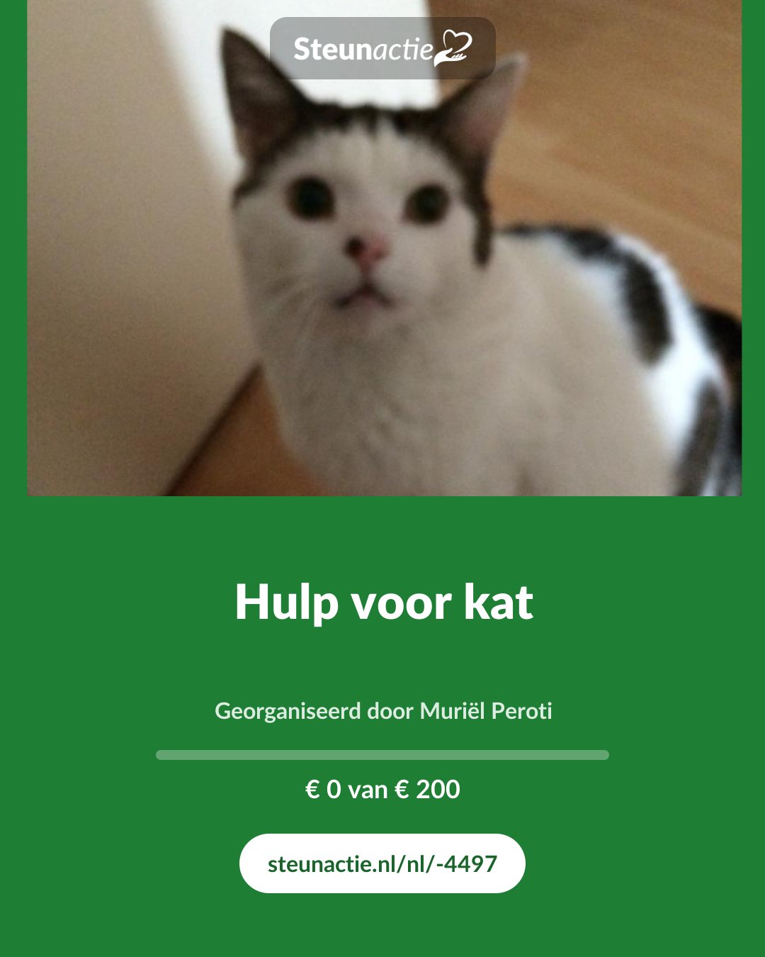 Voorbeeld van de afbeelding
