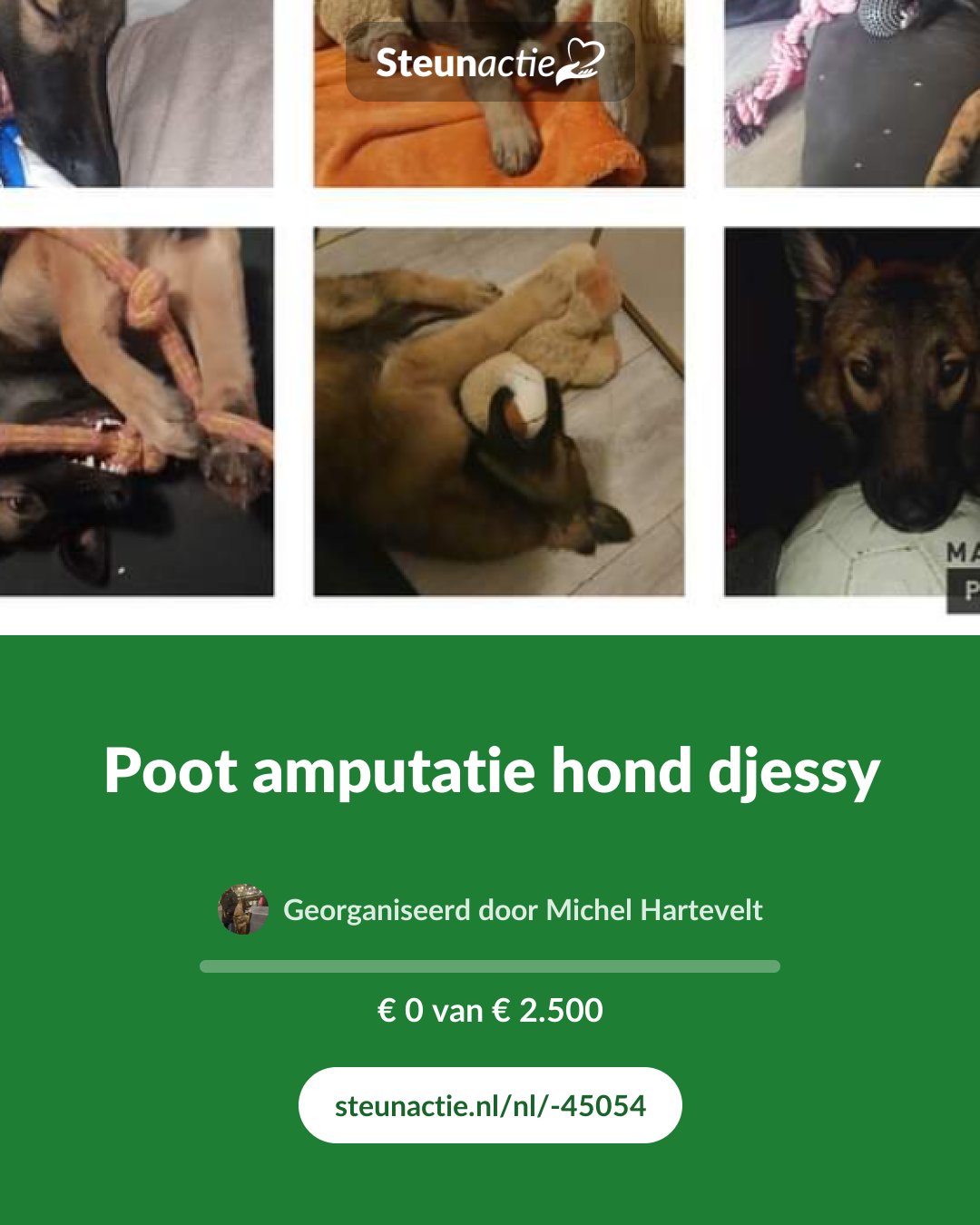 Voorbeeld van de afbeelding