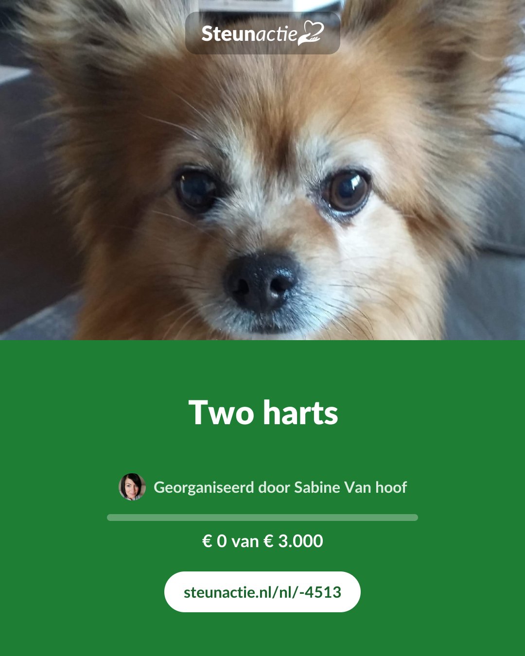 Voorbeeld van de afbeelding