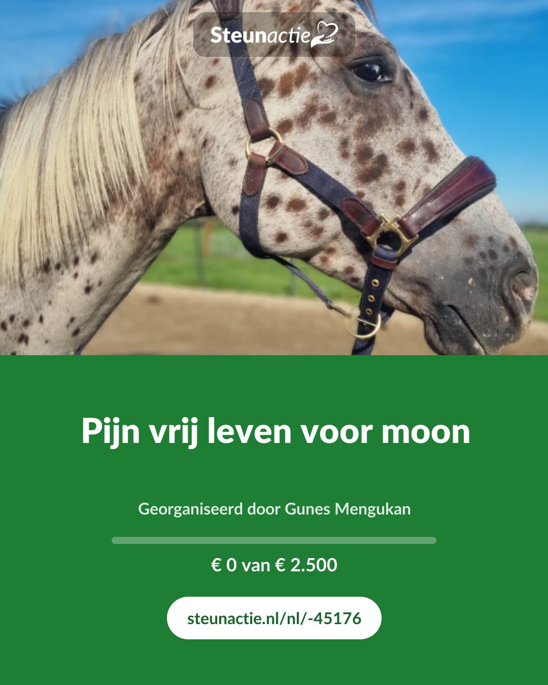 Voorbeeld van de afbeelding
