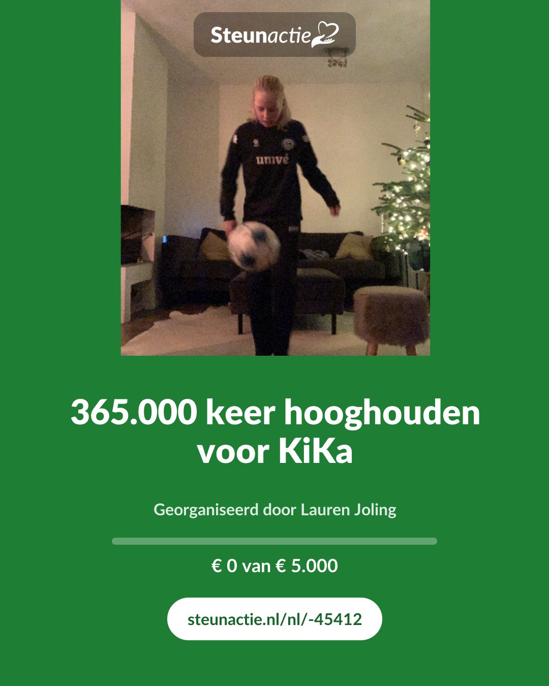Voorbeeld van de afbeelding