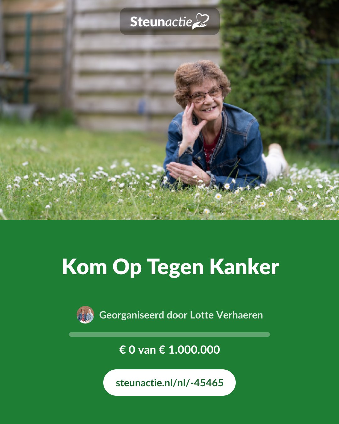 Voorbeeld van de afbeelding