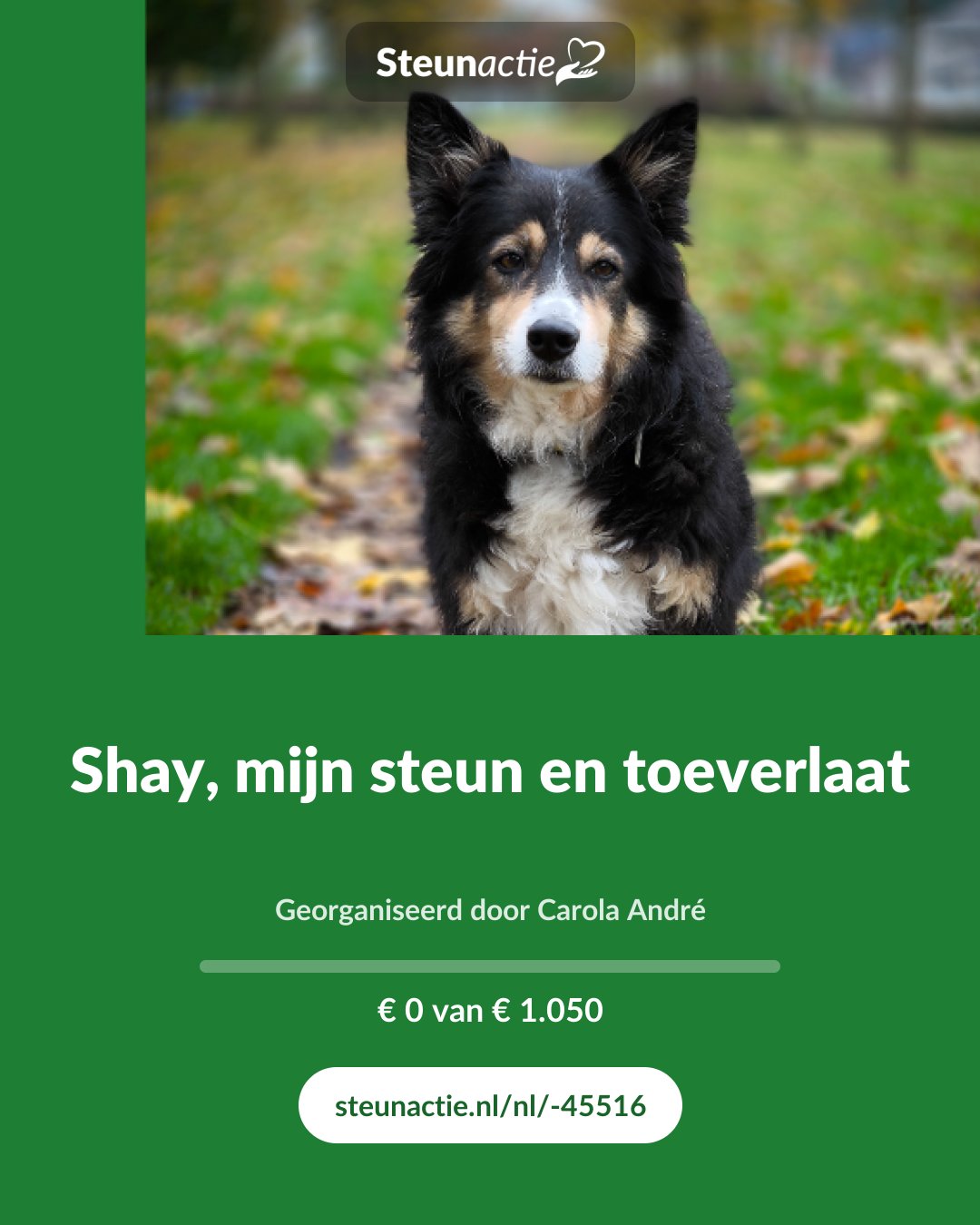Voorbeeld van de afbeelding