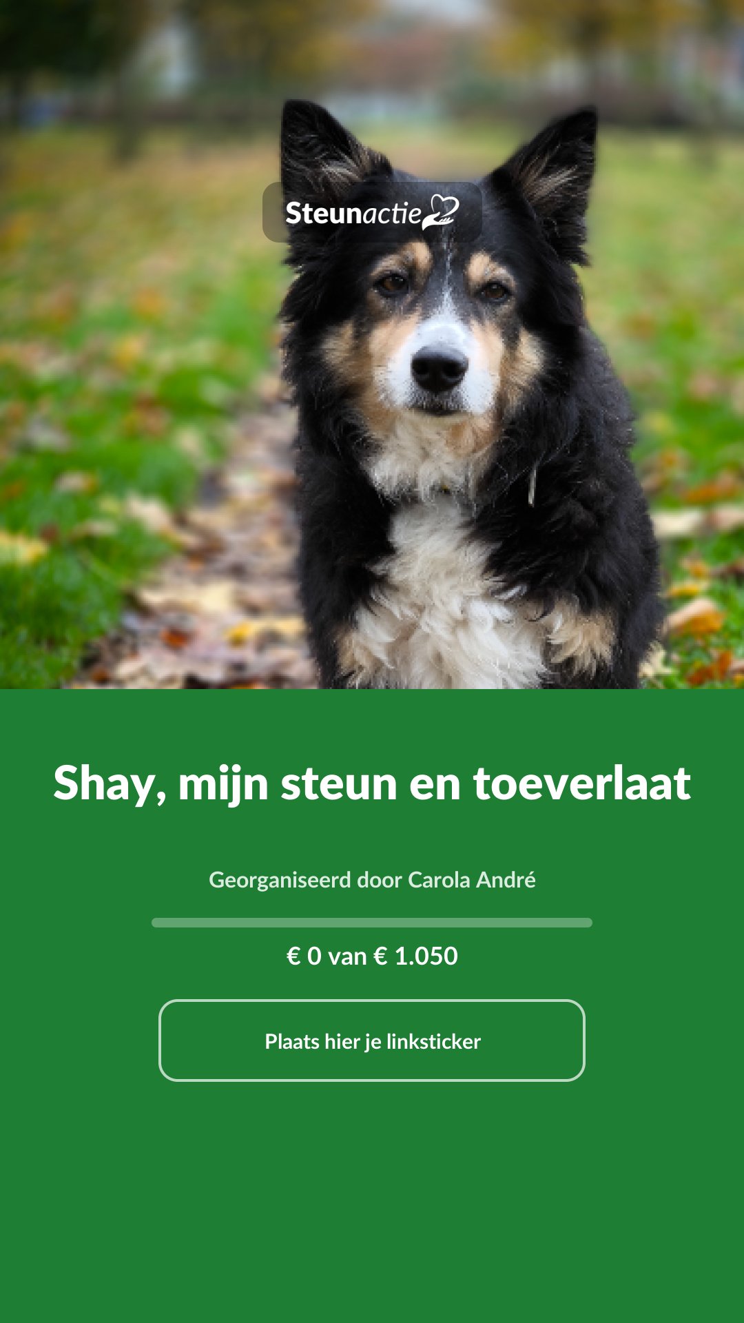 Voorbeeld van de afbeelding