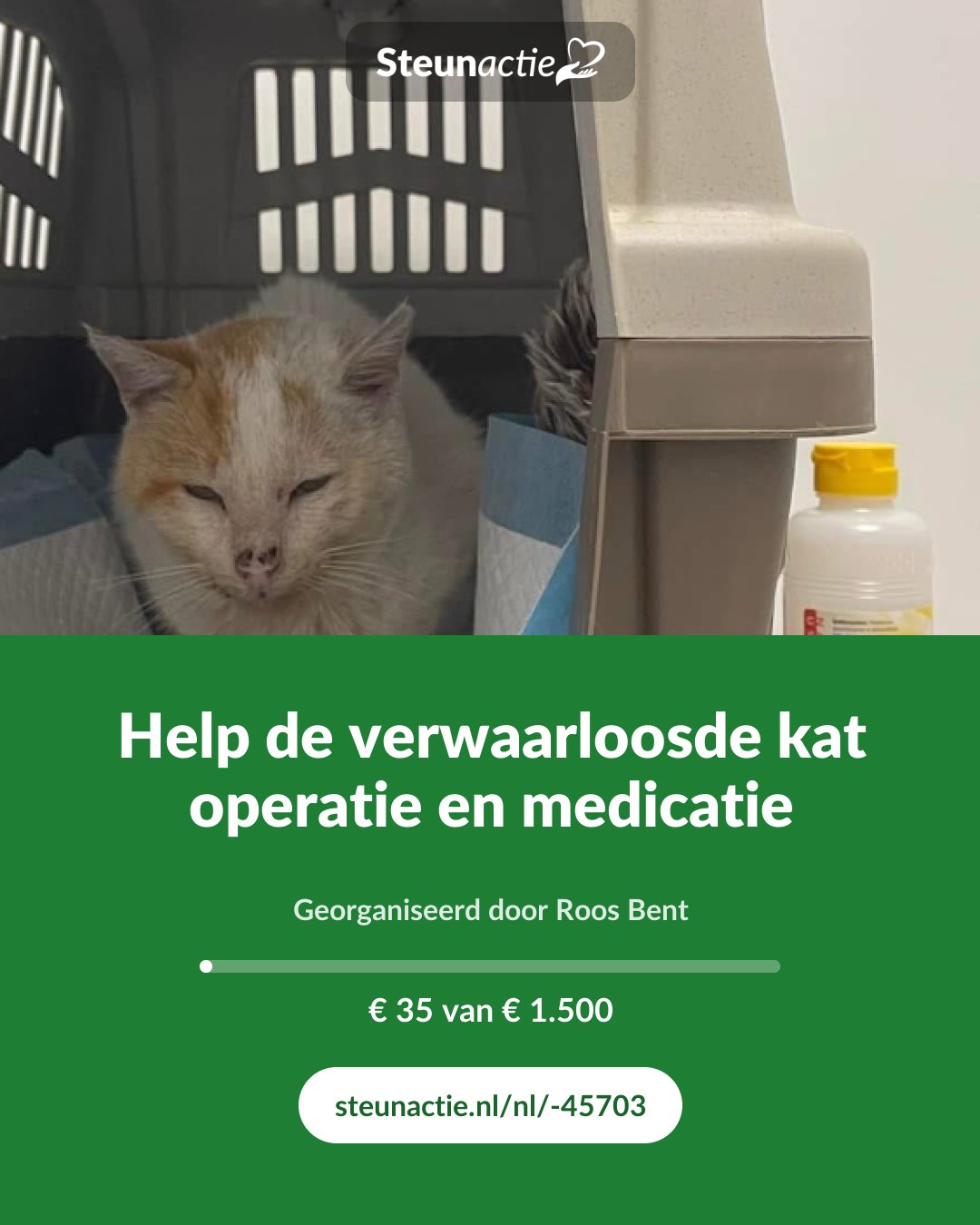 Voorbeeld van de afbeelding