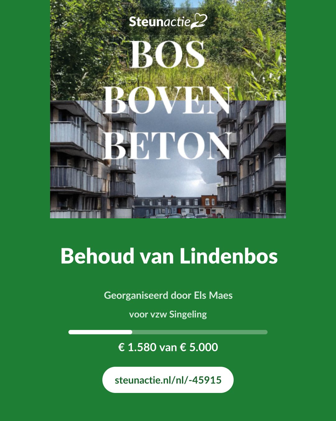 Voorbeeld van de afbeelding