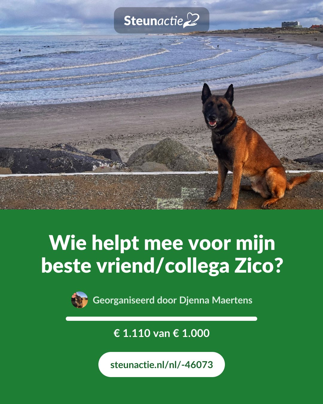 Voorbeeld van de afbeelding