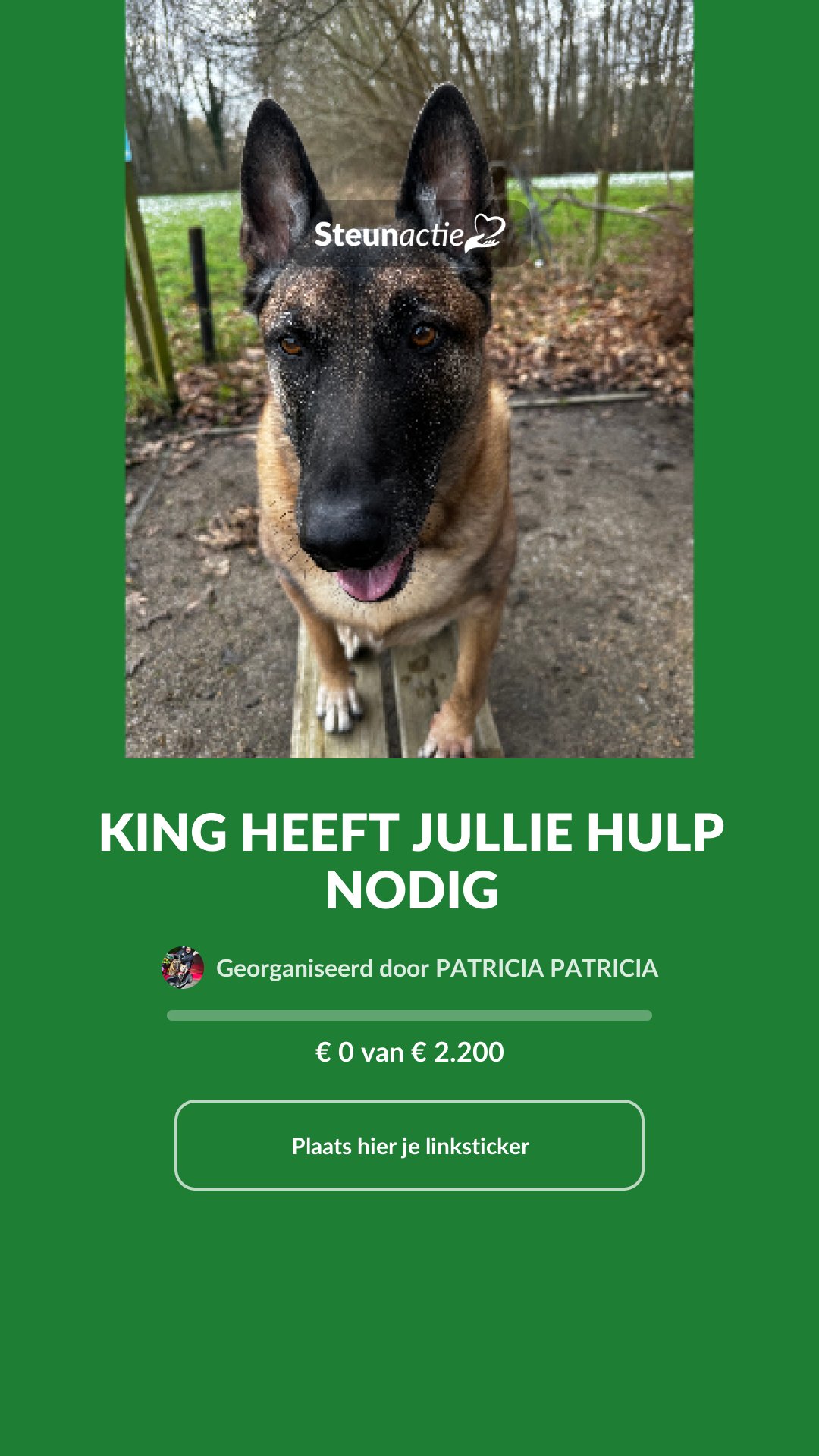 Voorbeeld van de afbeelding