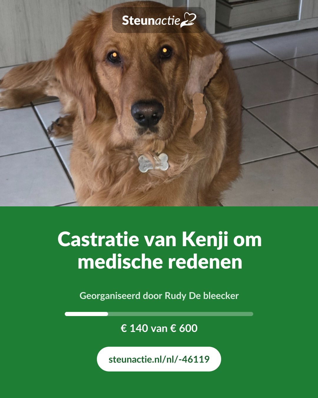 Voorbeeld van de afbeelding
