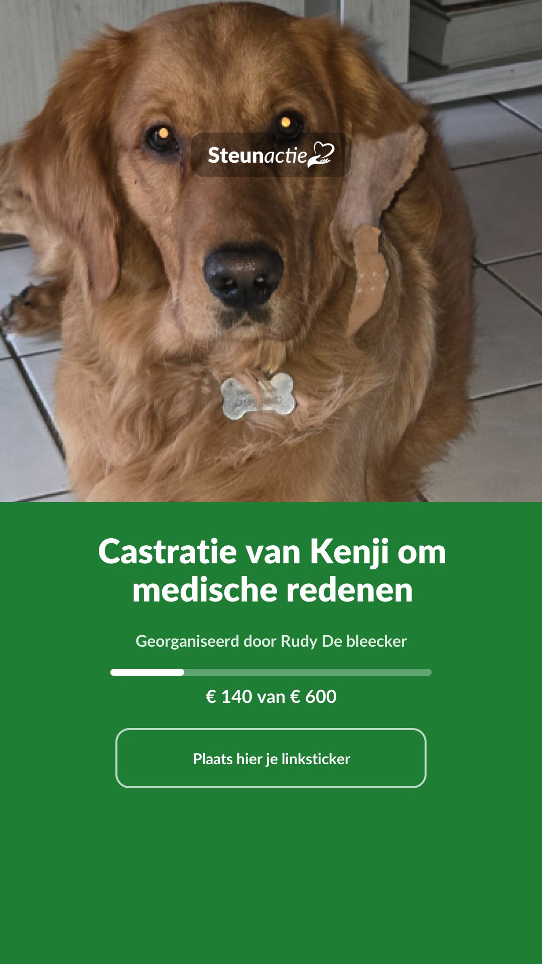 Voorbeeld van de afbeelding