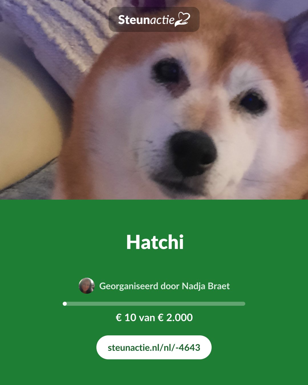 Voorbeeld van de afbeelding