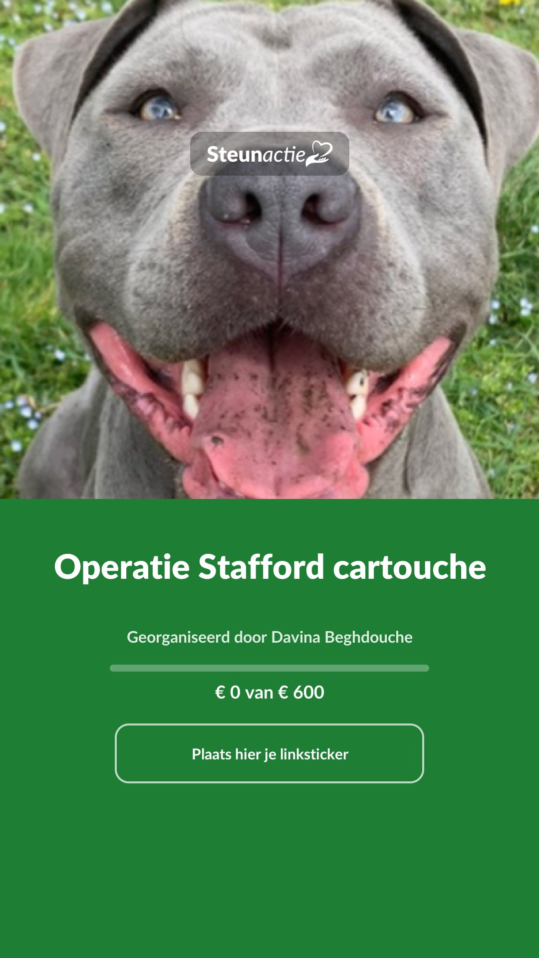 Voorbeeld van de afbeelding