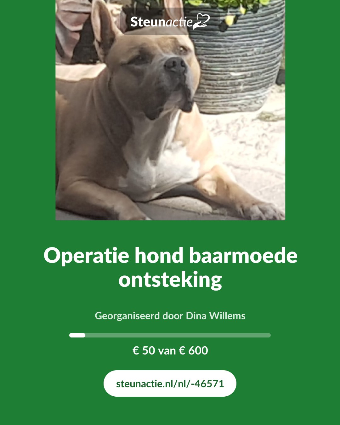 Voorbeeld van de afbeelding