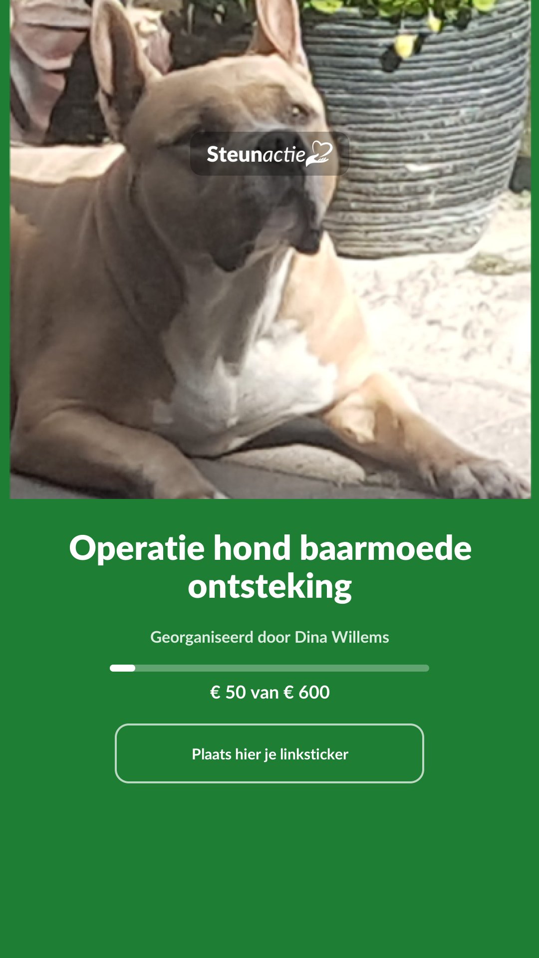 Voorbeeld van de afbeelding