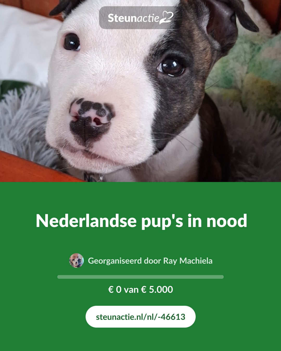 Voorbeeld van de afbeelding