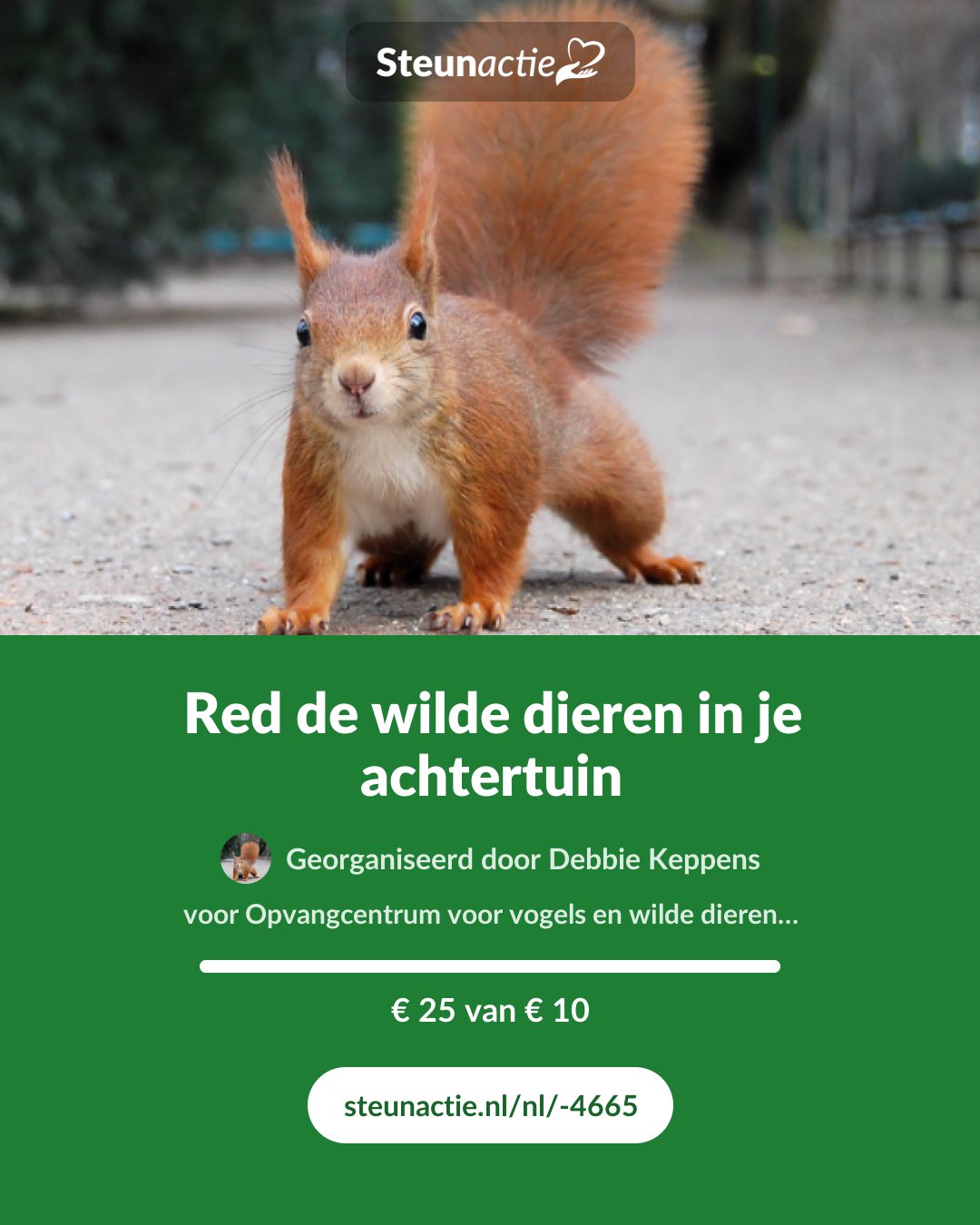 Voorbeeld van de afbeelding