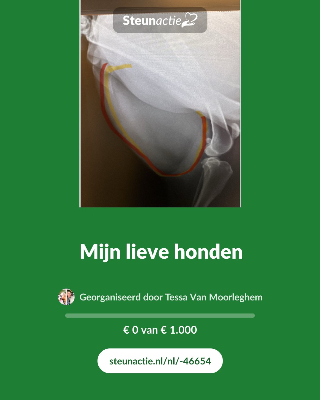 Voorbeeld van de afbeelding
