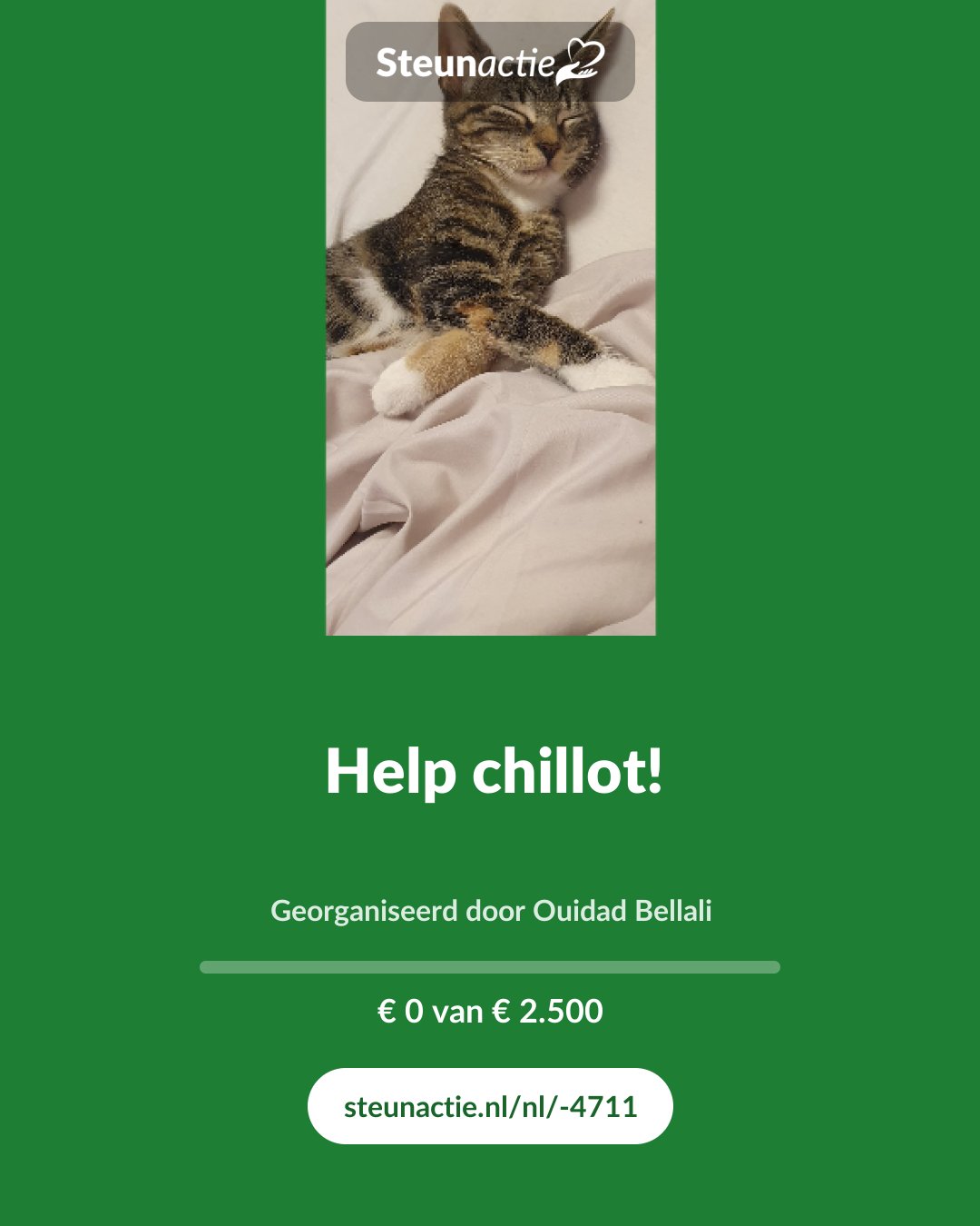 Voorbeeld van de afbeelding