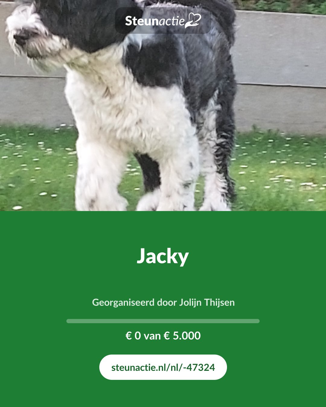 Voorbeeld van de afbeelding
