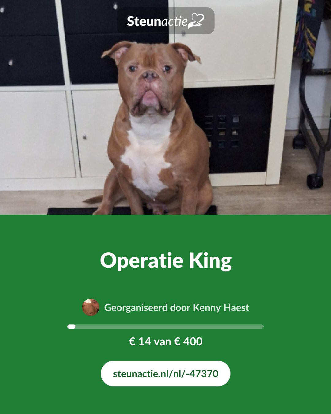 Voorbeeld van de afbeelding