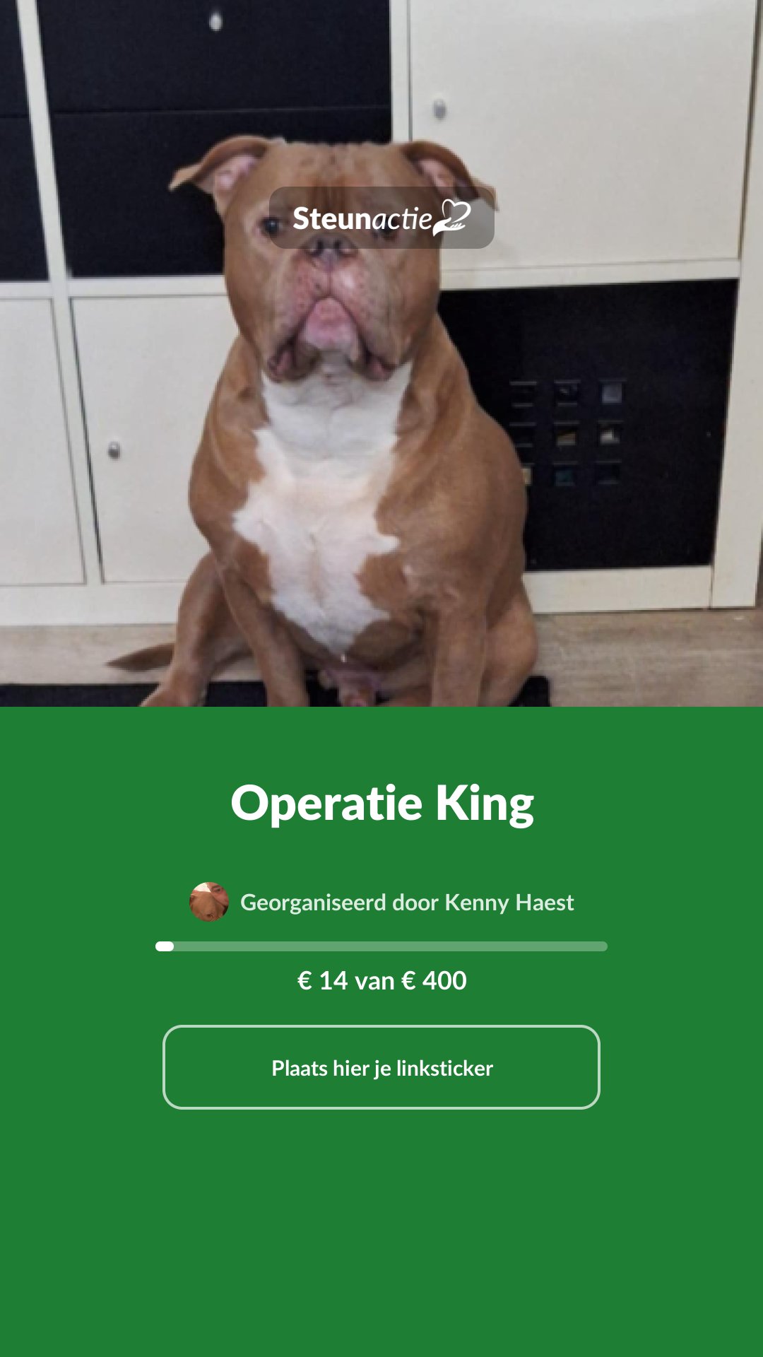 Voorbeeld van de afbeelding