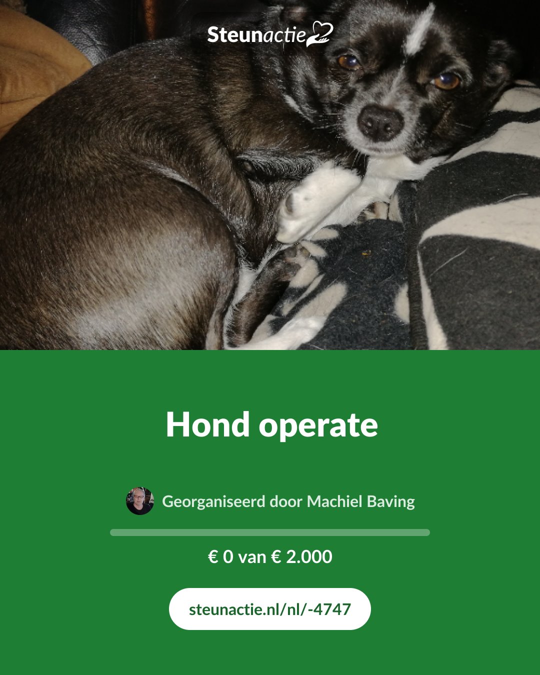 Voorbeeld van de afbeelding