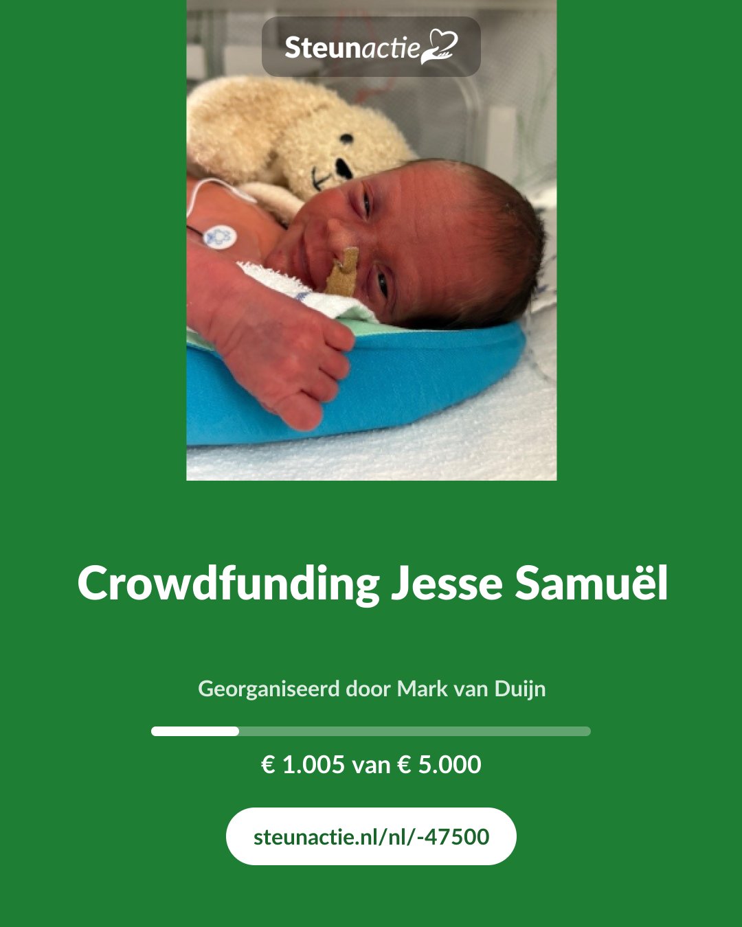 Voorbeeld van de afbeelding
