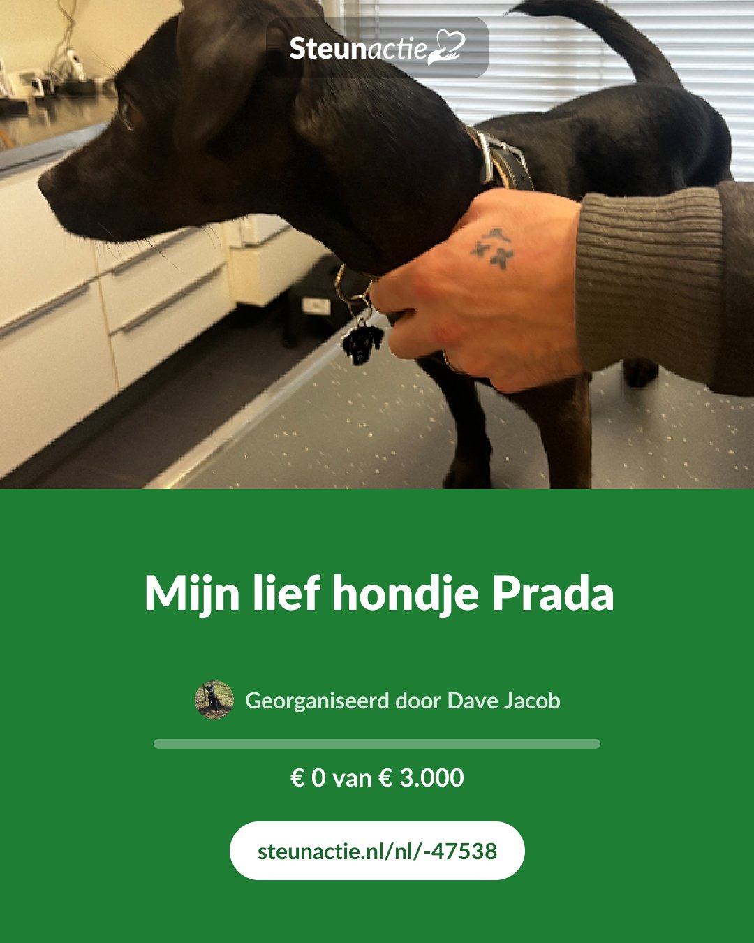 Voorbeeld van de afbeelding