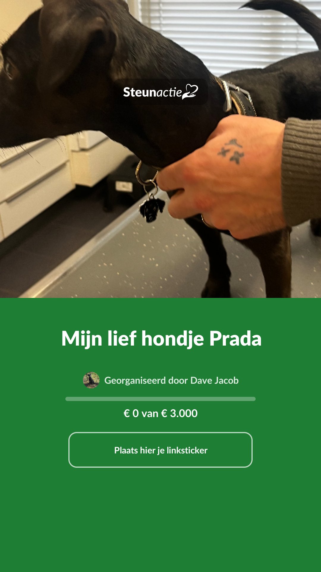 Voorbeeld van de afbeelding