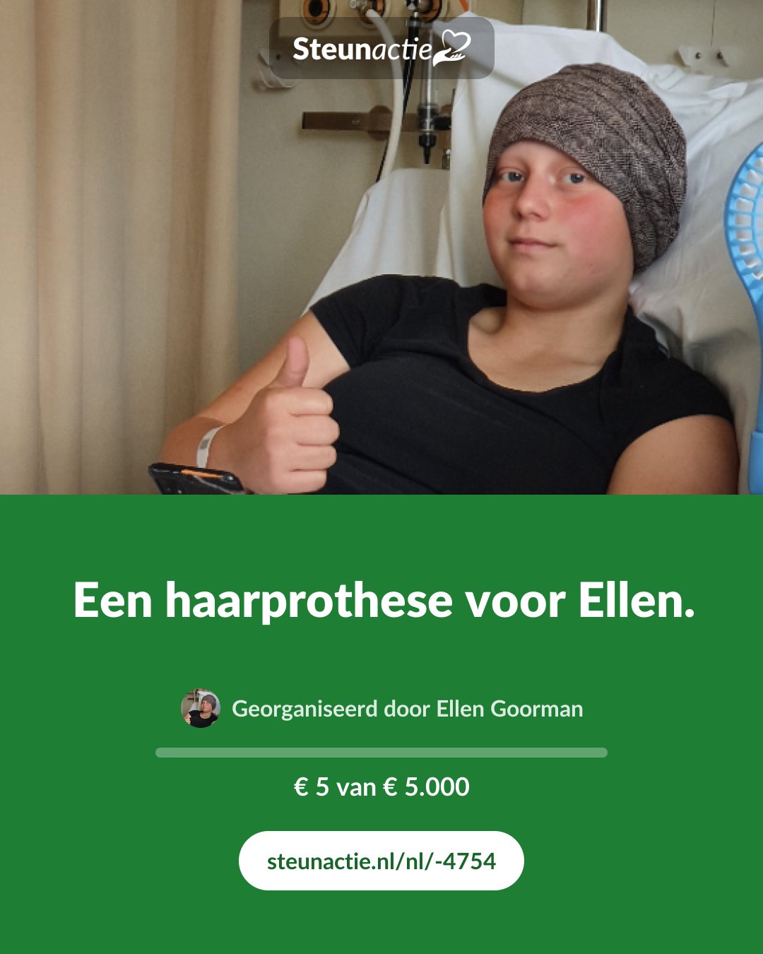 Voorbeeld van de afbeelding