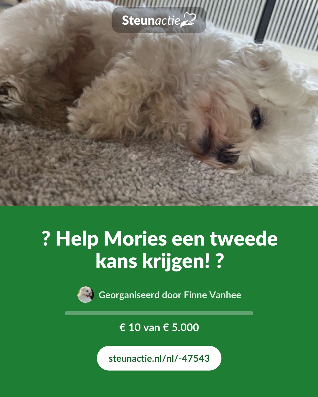Voorbeeld van de afbeelding