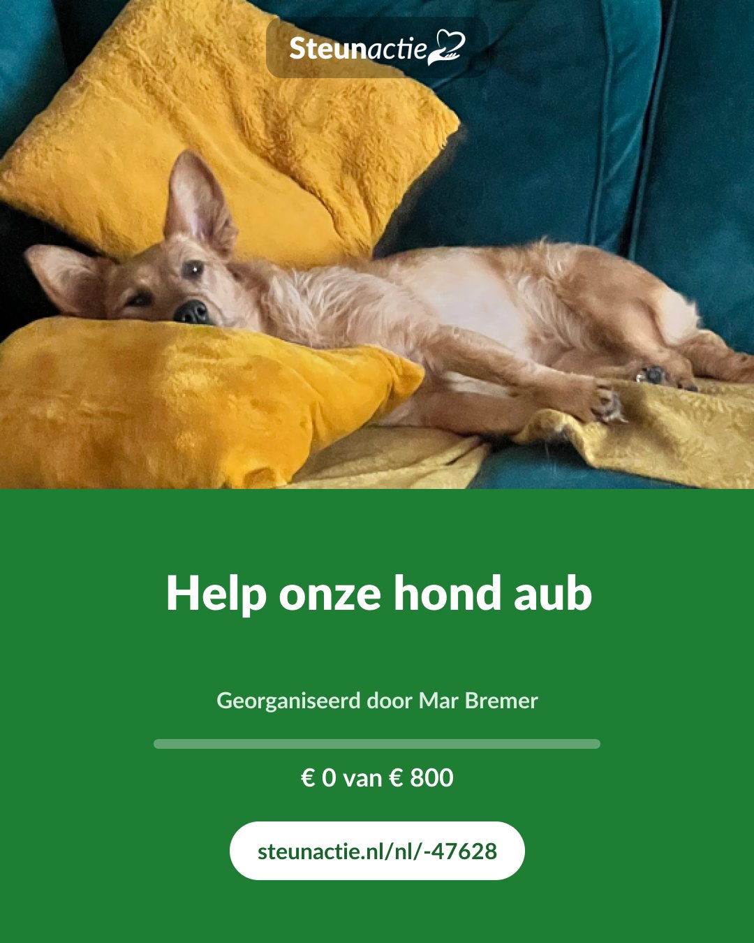 Voorbeeld van de afbeelding