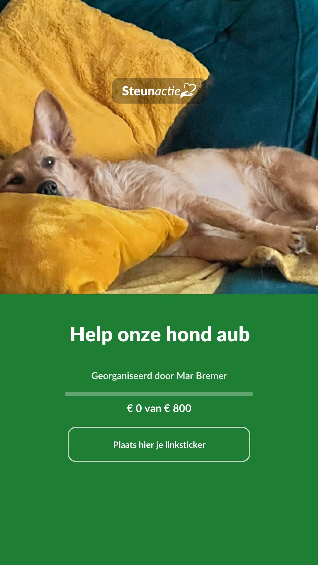 Voorbeeld van de afbeelding