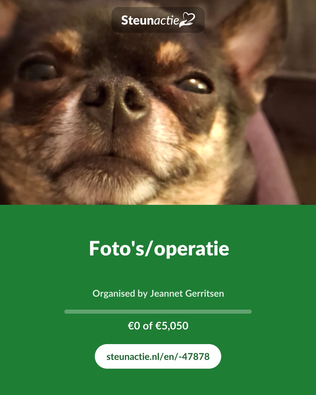 Preview of the image
