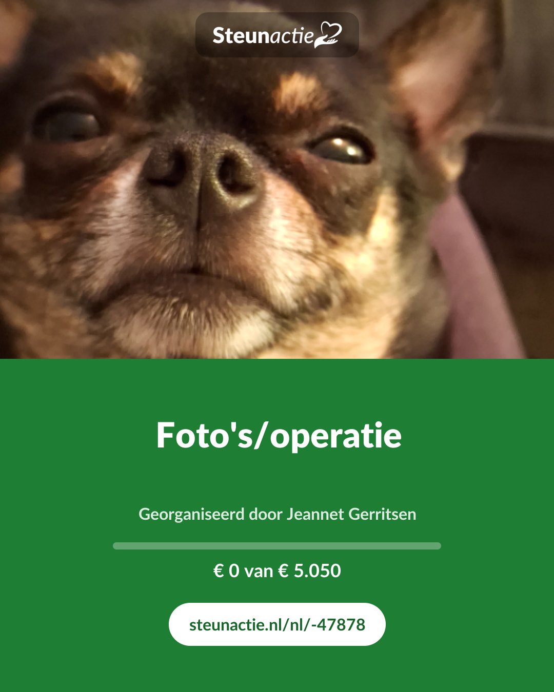 Voorbeeld van de afbeelding