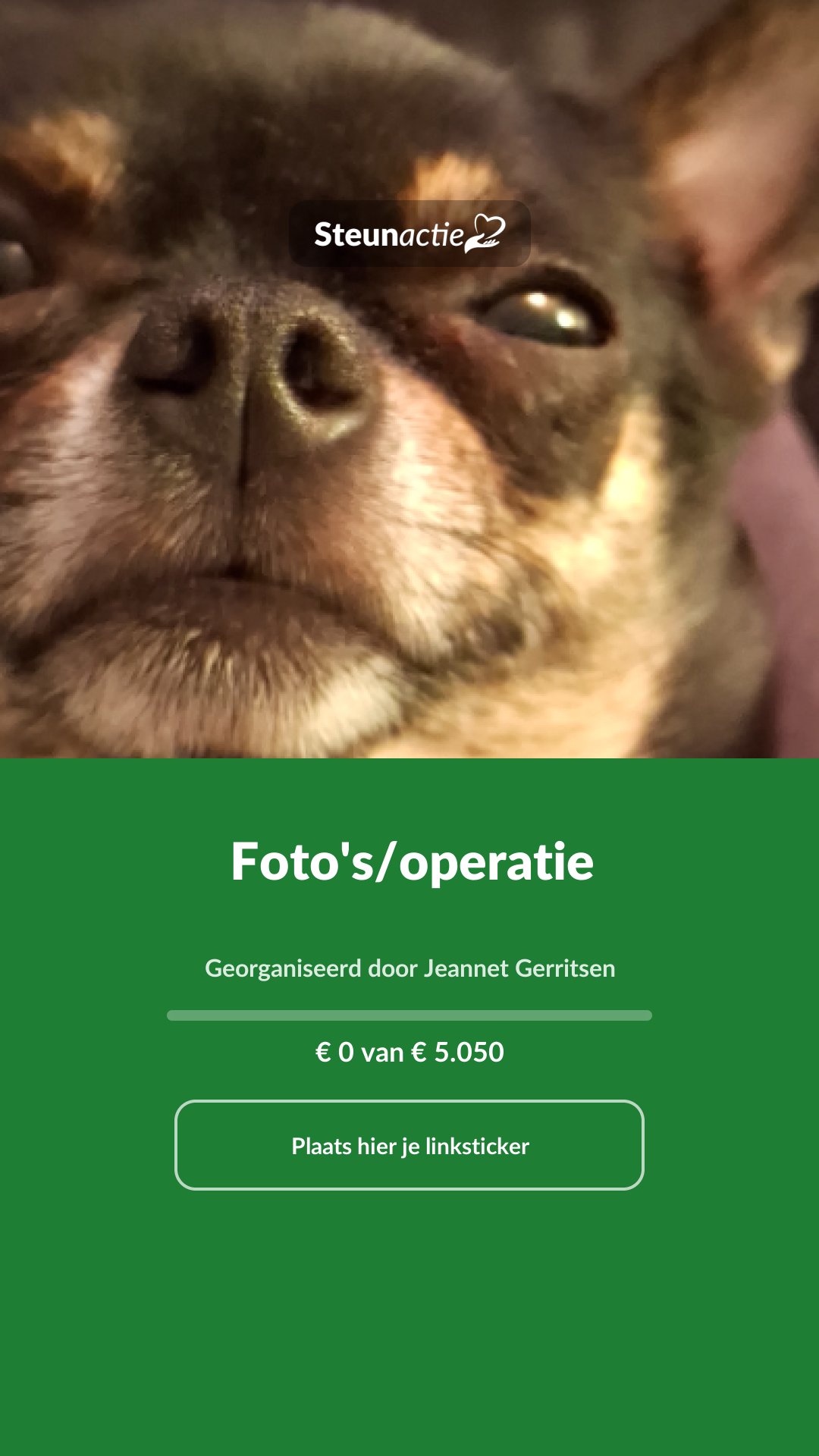 Voorbeeld van de afbeelding