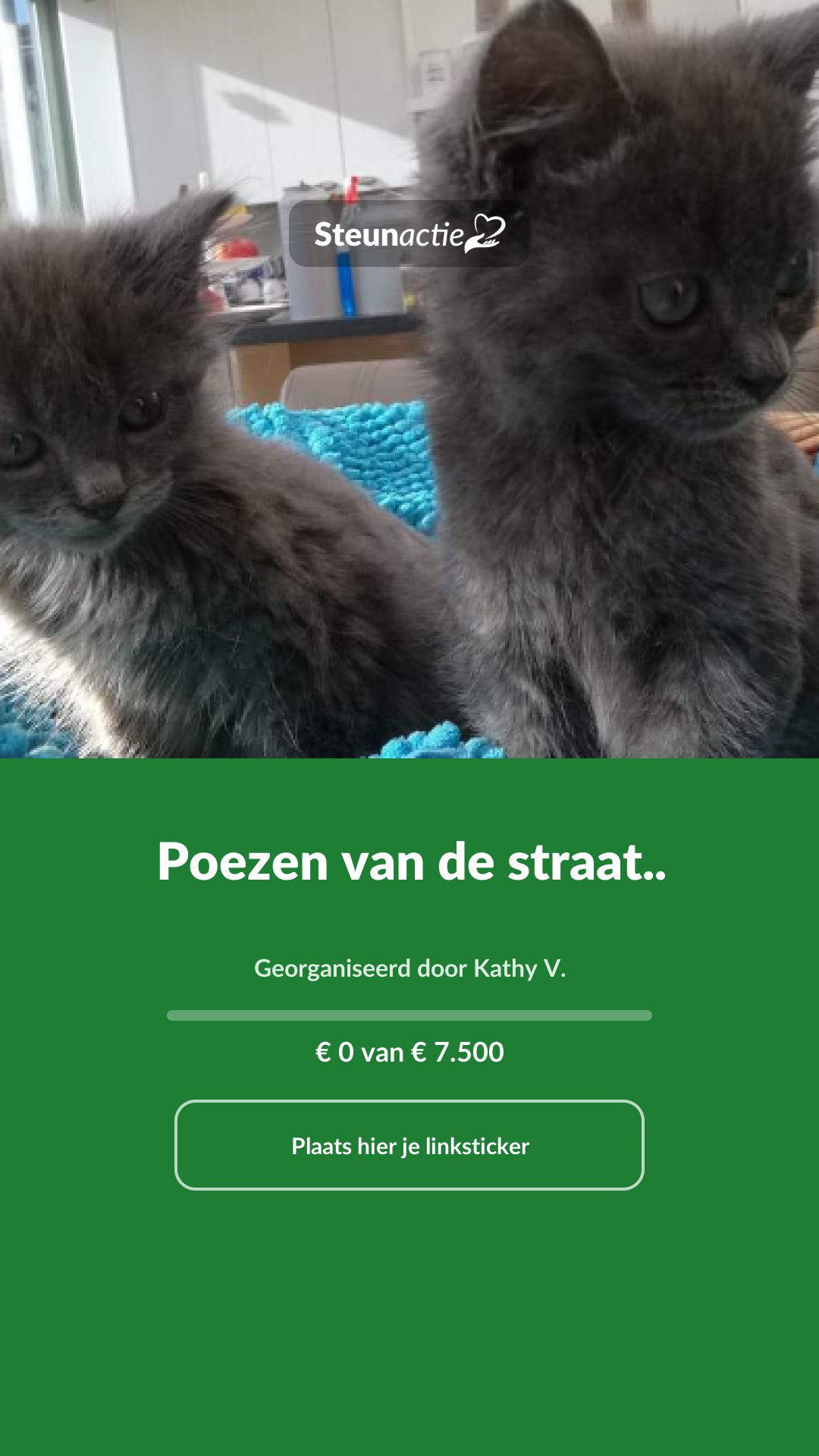 Voorbeeld van de afbeelding