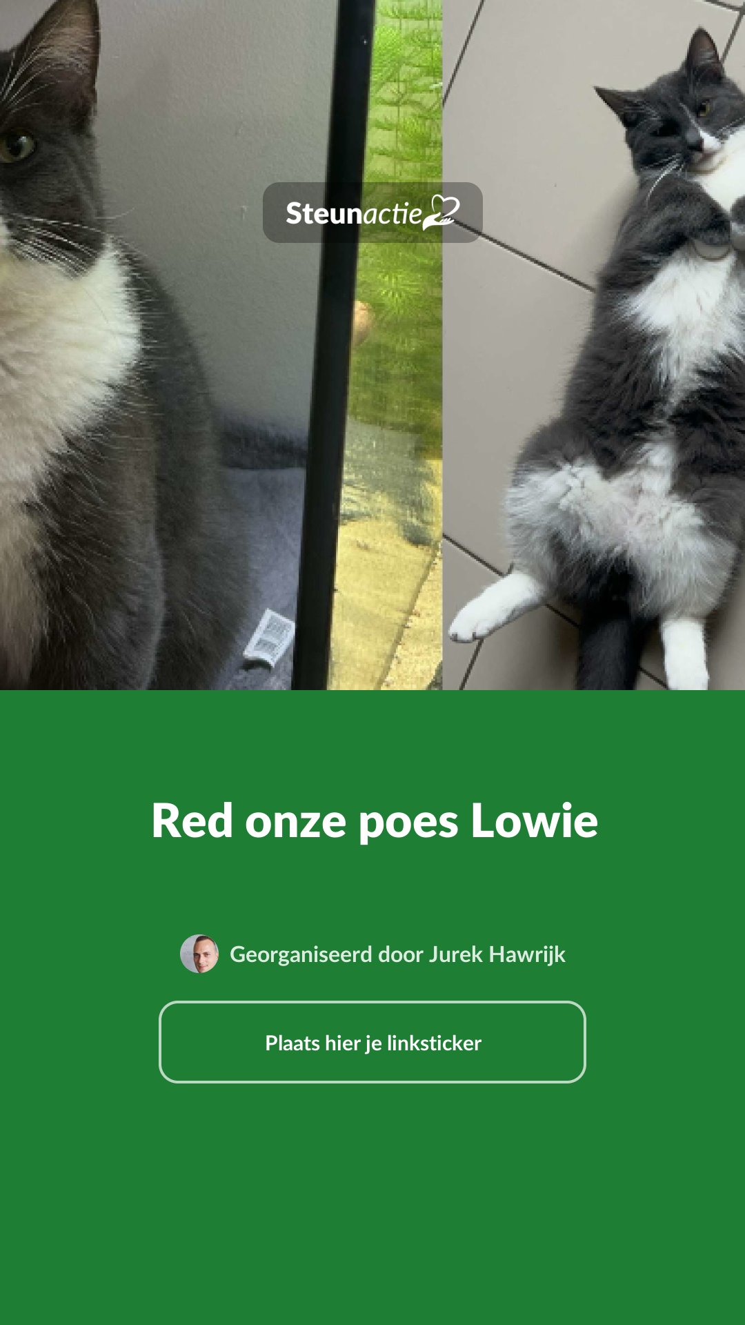 Voorbeeld van de afbeelding