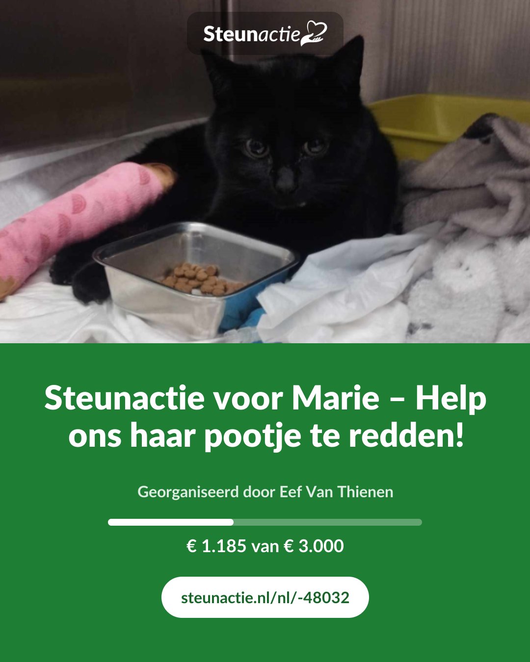 Voorbeeld van de afbeelding