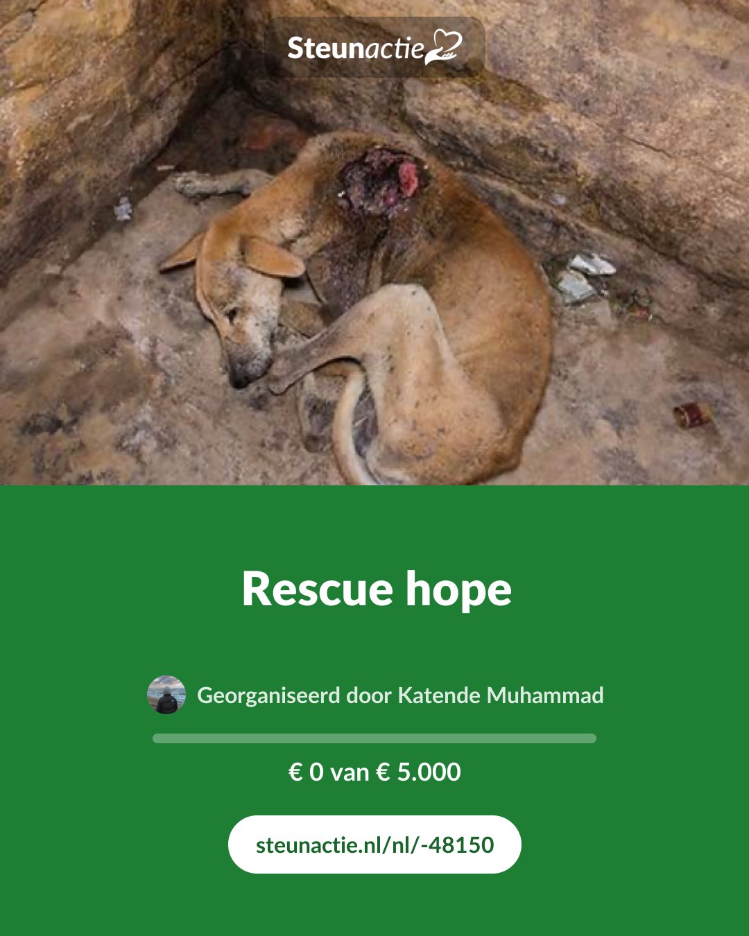 Voorbeeld van de afbeelding