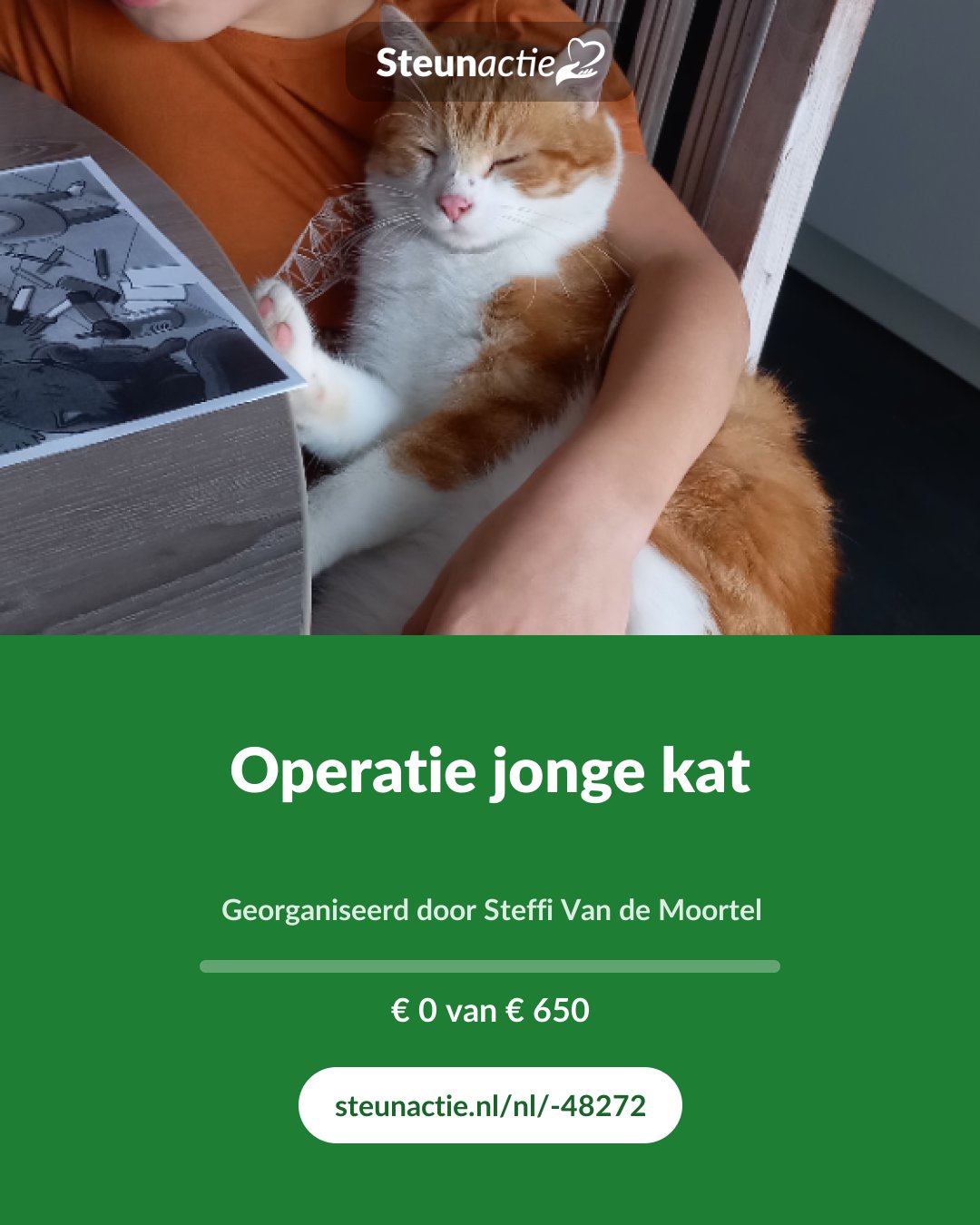 Voorbeeld van de afbeelding