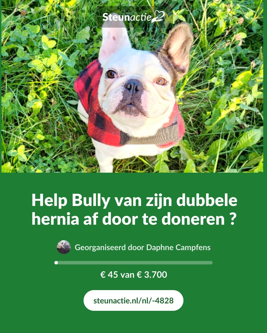 Voorbeeld van de afbeelding