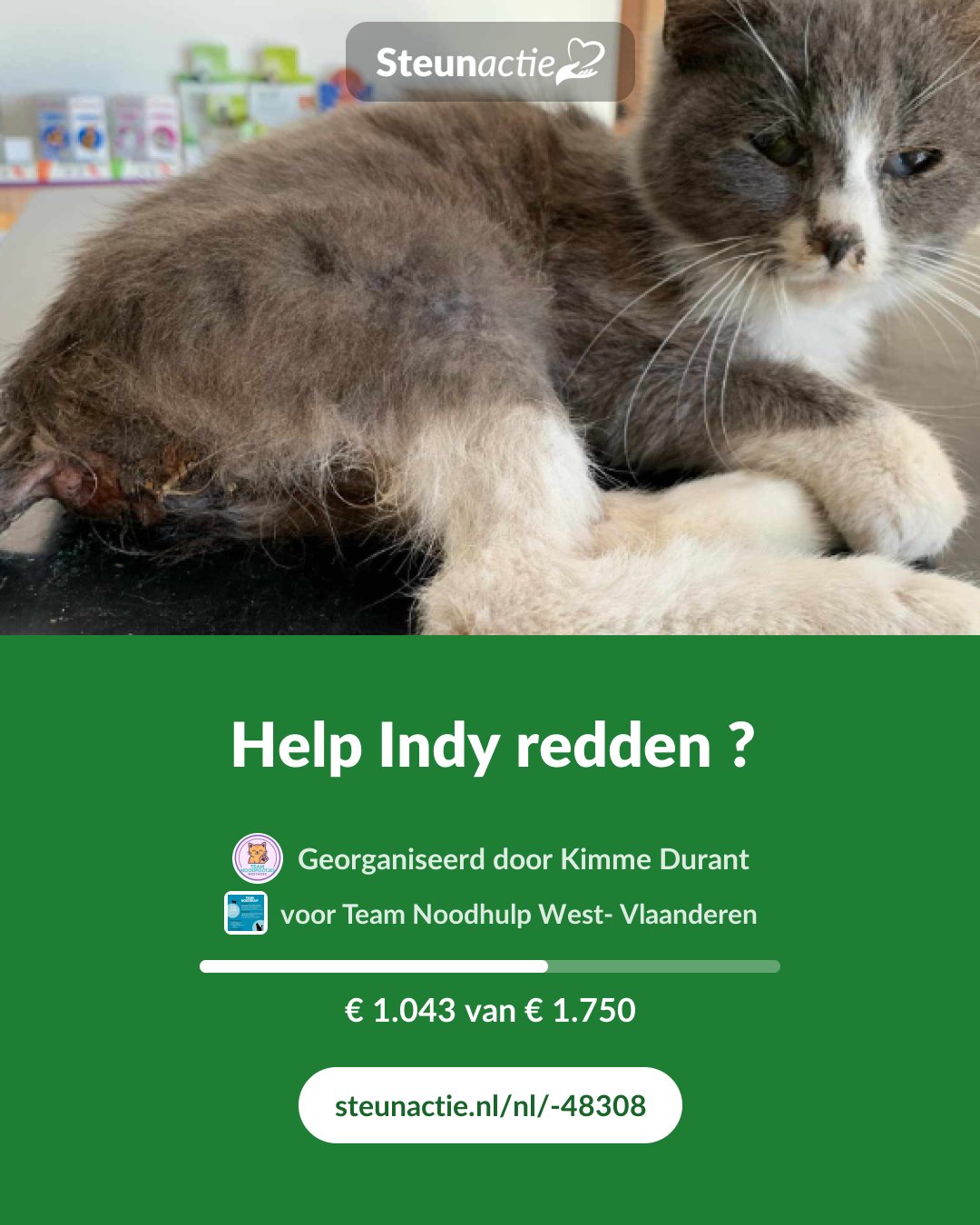 Voorbeeld van de afbeelding