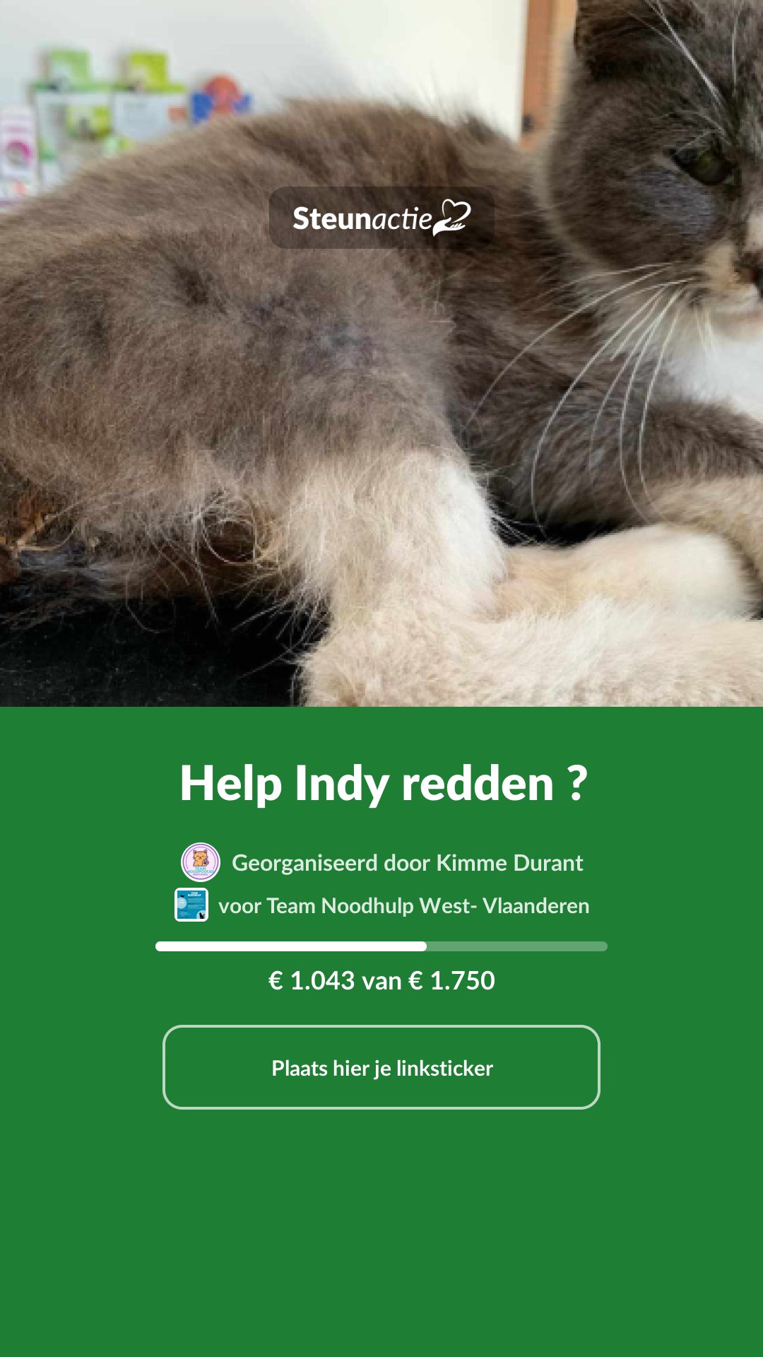 Voorbeeld van de afbeelding