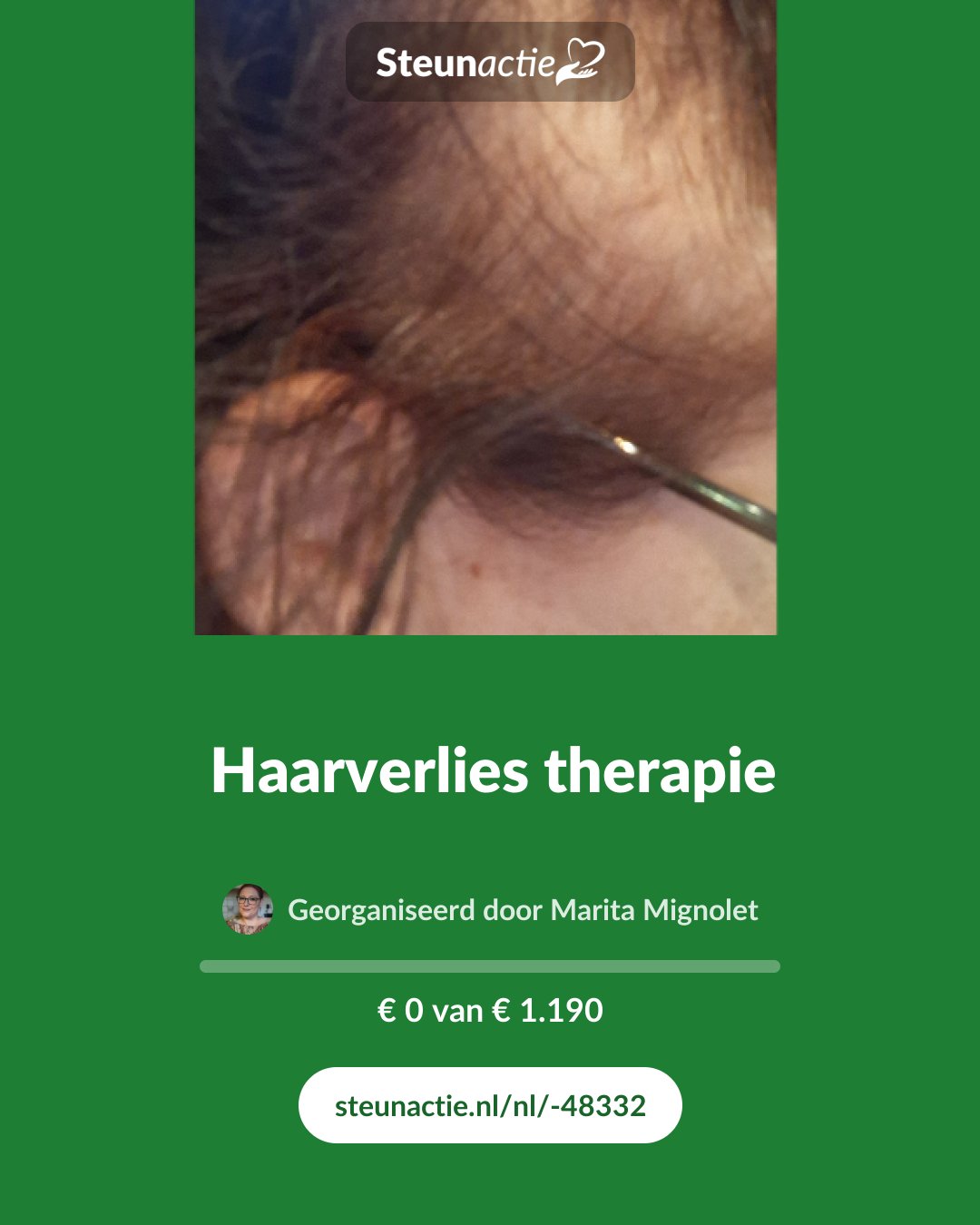 Voorbeeld van de afbeelding