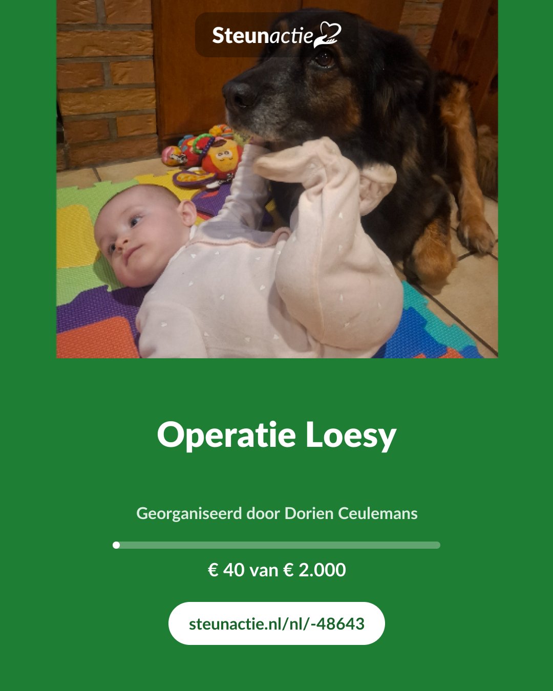 Voorbeeld van de afbeelding