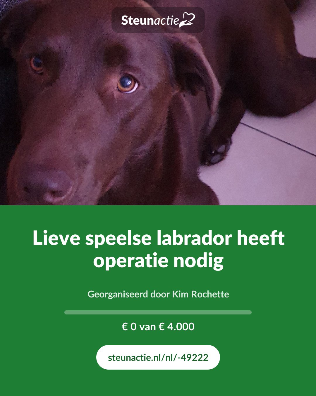 Voorbeeld van de afbeelding