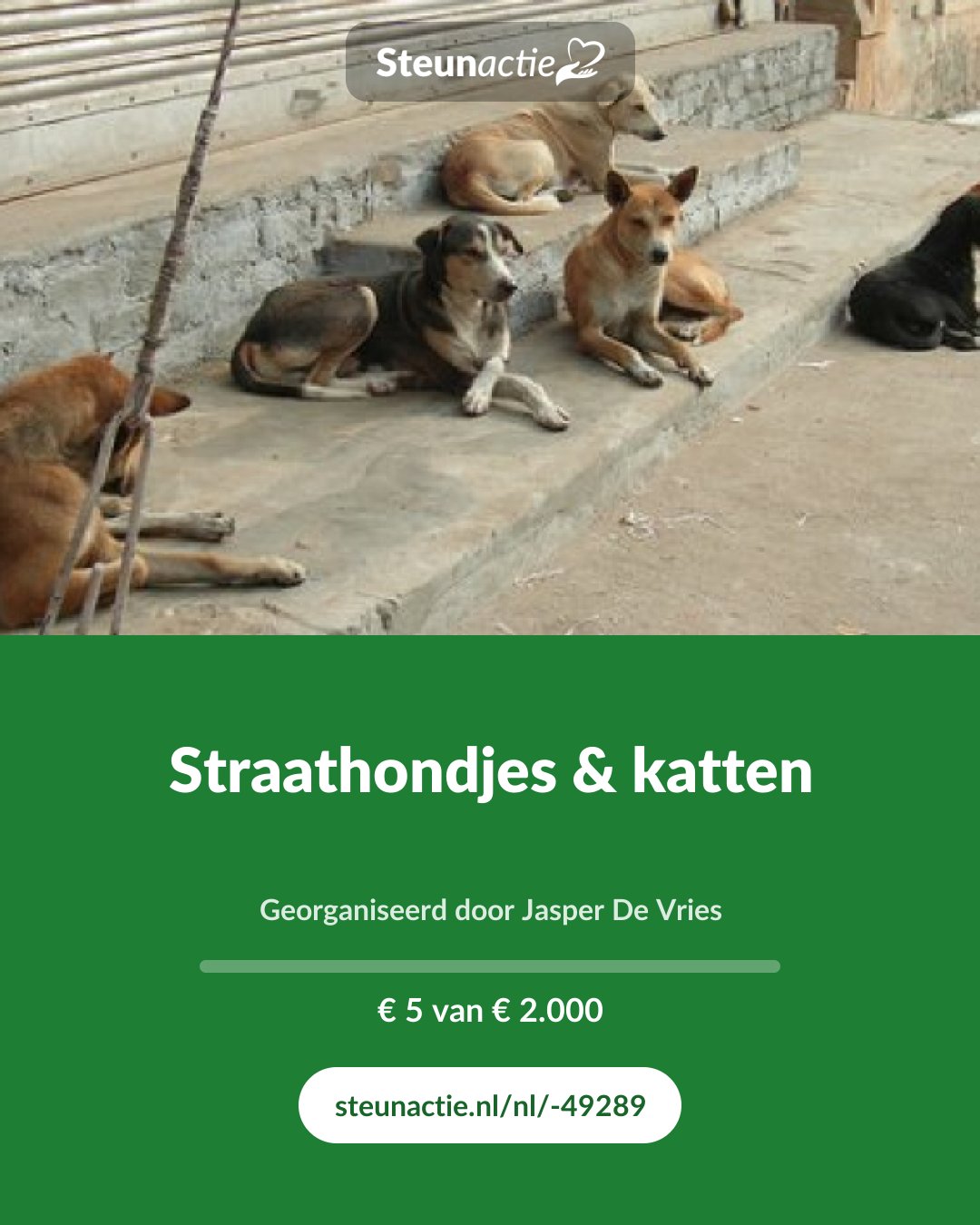 Voorbeeld van de afbeelding